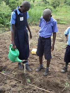 Children watering crops in Uganda