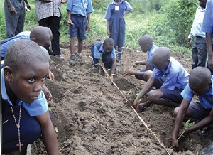 Planting seeds at St Zoe's School