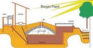 Biogas Diagram